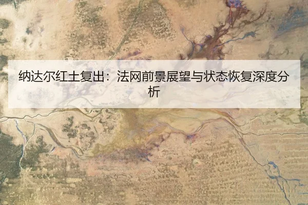 na-da-er-hong-tu-fu-chu-fa-wang-qian-jing-zhan-wang-yu-zhuang-tai-hui-fu-shen-du-fen-xi-3-303.jpg