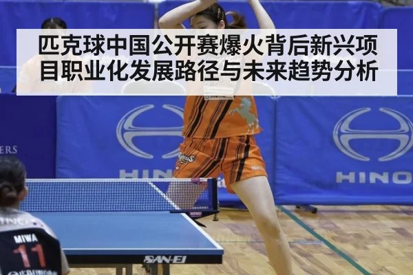 匹克球中国公开赛爆火背后新兴项目职业化发展路径与未来趋势分析